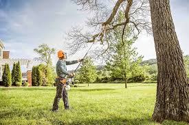 Best Hazardous Tree Removal  in Cambridge Springs, PA
